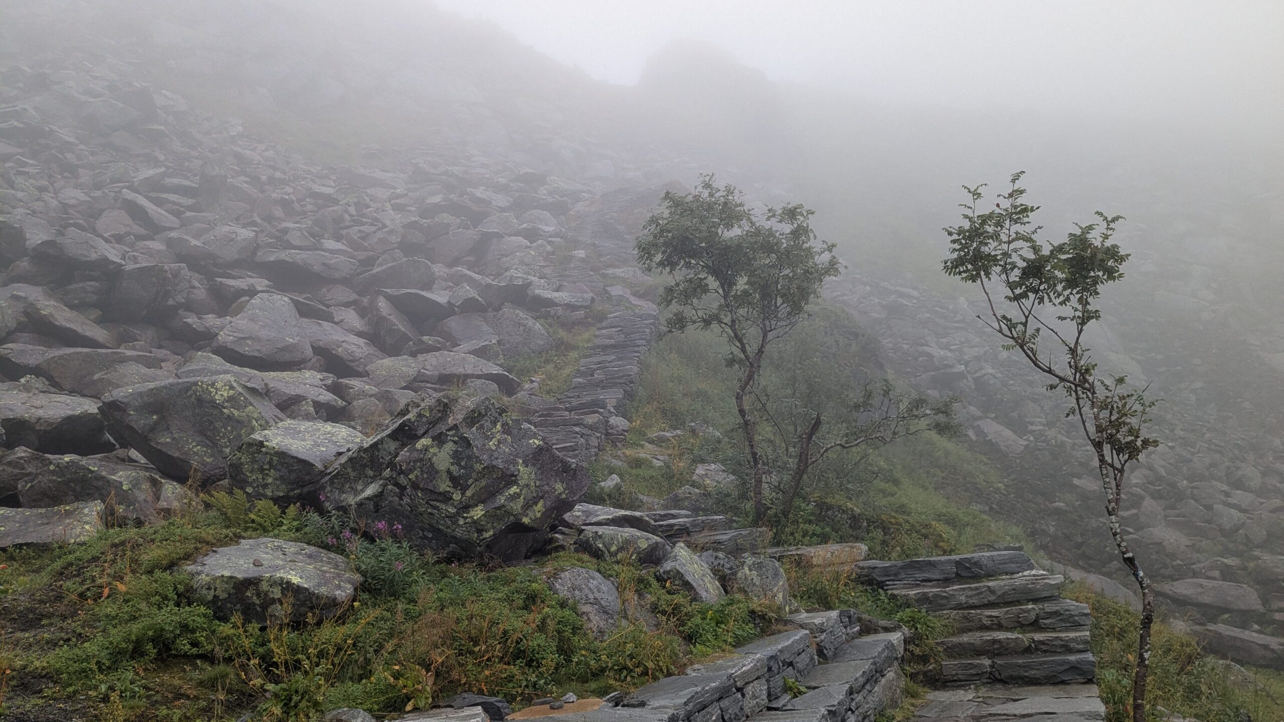Stone steps disappearing into the mist on the ascent to Fløya, Lofoten Islands.
