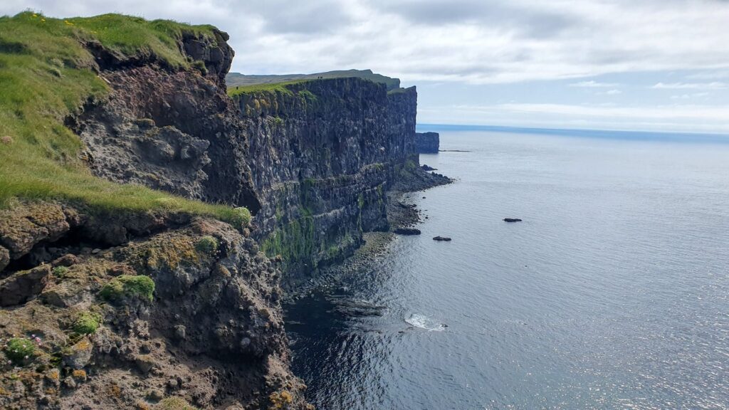 Dramatic sea cliffs at Látrabjarg, home to thousands of nesting seabirds.