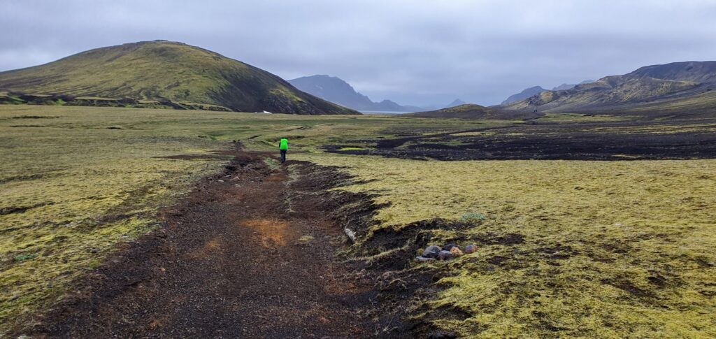 Hiker walking through a moss-covered valley on the way to Álftavatn along the Laugavegur Trail, Iceland.