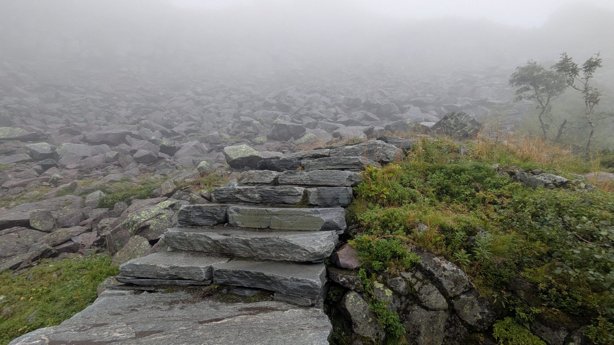 Stone steps disappearing into the mist on the ascent to Fløya, Svolvaer, Lofoten Islands.
