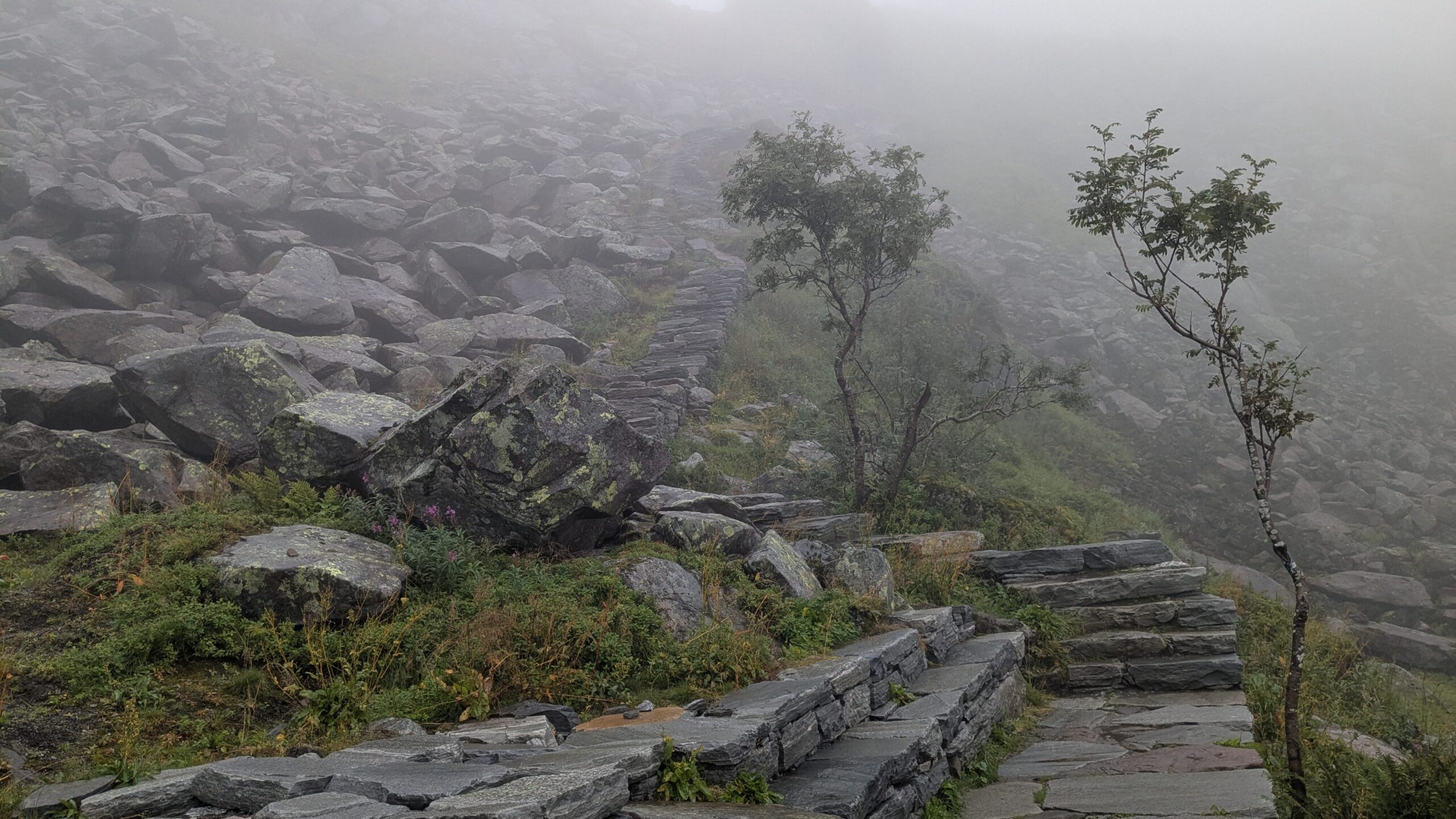 Stone steps disappearing into the mist on the ascent to Fløya, Lofoten Islands.